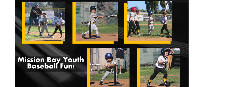 Sheltland 6U Fall!